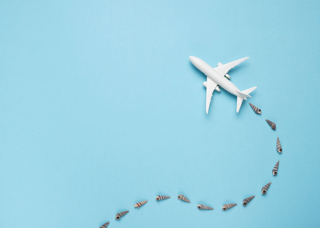 Voyager en avion avec ses sextoy : le guide pour voyager sereinement